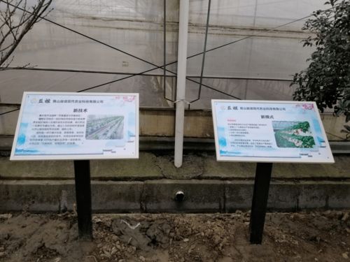 高顏值、高科技、高標準 張浦鎮“三維一體”高質量推進蔬菜基地建設與技術推廣